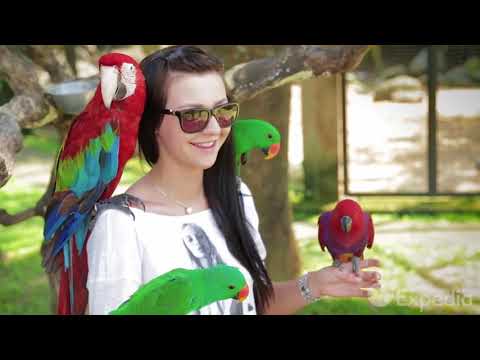 Bali Vacation Travel Guide   Expedia   YouTube