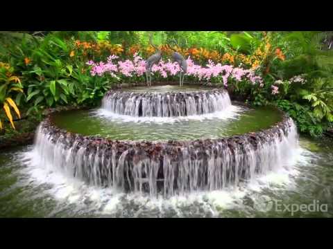 Singapore Vacation Travel Guide   Expedia