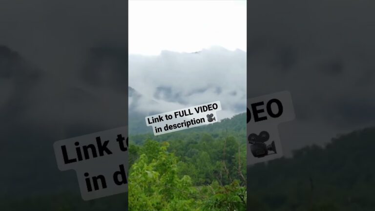 U.S. National Parks 🏔️🌵🌲