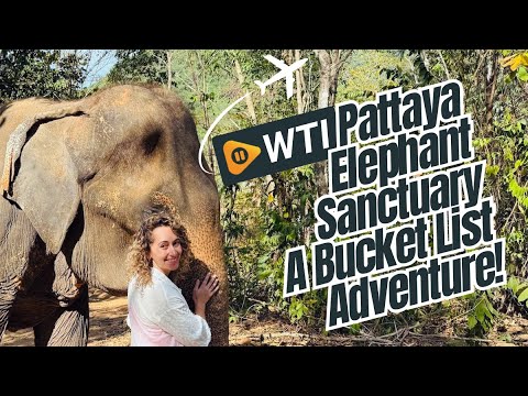 Must Visit Elephant Sanctuary!