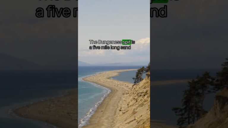 Best Olympic National Park Beach No. 9 #olympic #olympicnationalpark #usnationalparks #bucketlist