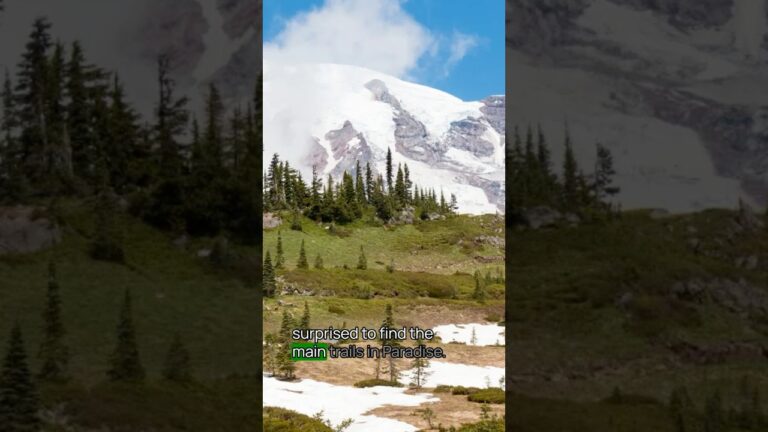 Tip to Visit Mount Rainier National Park No. 1 #mtrainier #mountrainier #usnationalparks traveltips