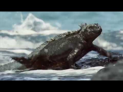 Ecuador's Travel Guide (Spanish) | Expedia