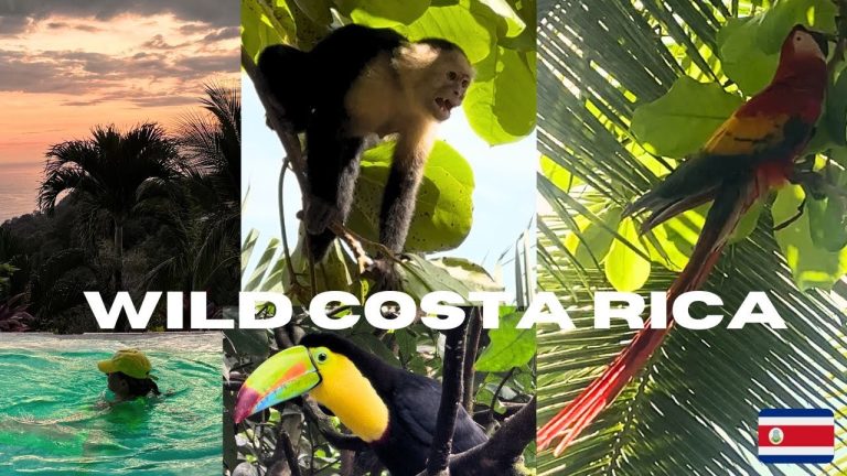 Costa Rica 2026 Travel vlog | Manuel Antonio National Park | Playa Hermosa #nye