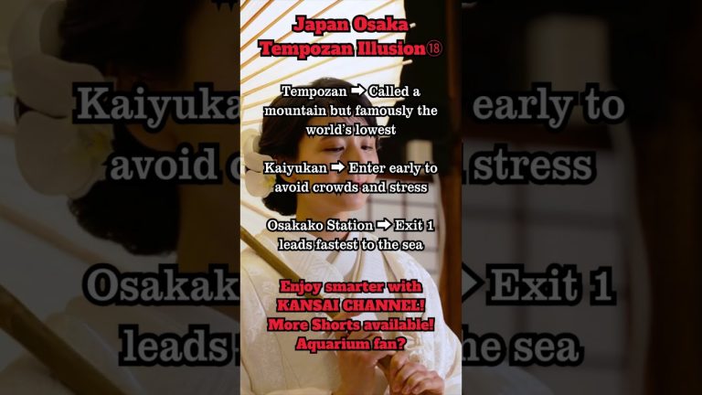 Osaka Japan Travel Guide, Kansai Airport to Namba Station, Osaka to Kyoto Train Tips for Foreigners!