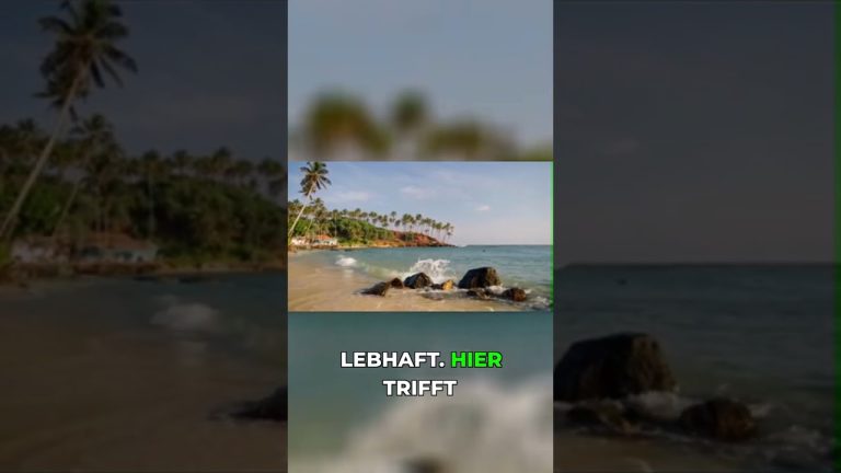 Super Paradise Beach: Hier feiert der Jet Set!  #reisetipps #urlaub #greece #griechenland #beach